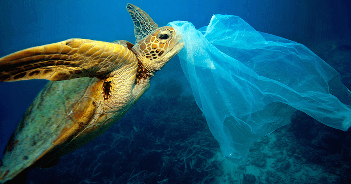 The world is waking up to a crisis of ocean plastic